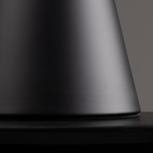 Настольный светильник Freya FR5289TL-01B фото 12